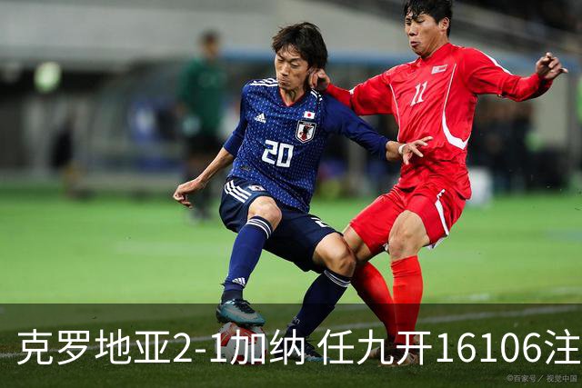 克罗地亚2-1加纳 任九开16106注914元