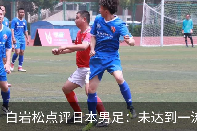 白岩松点评日本男足：未达到一流强队标准，仍需克服对荷兰的恐惧