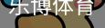 乐博体育集团